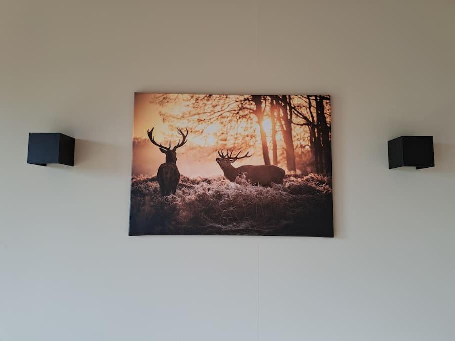 Appartamento Lange Heide Otterlo Esterno foto